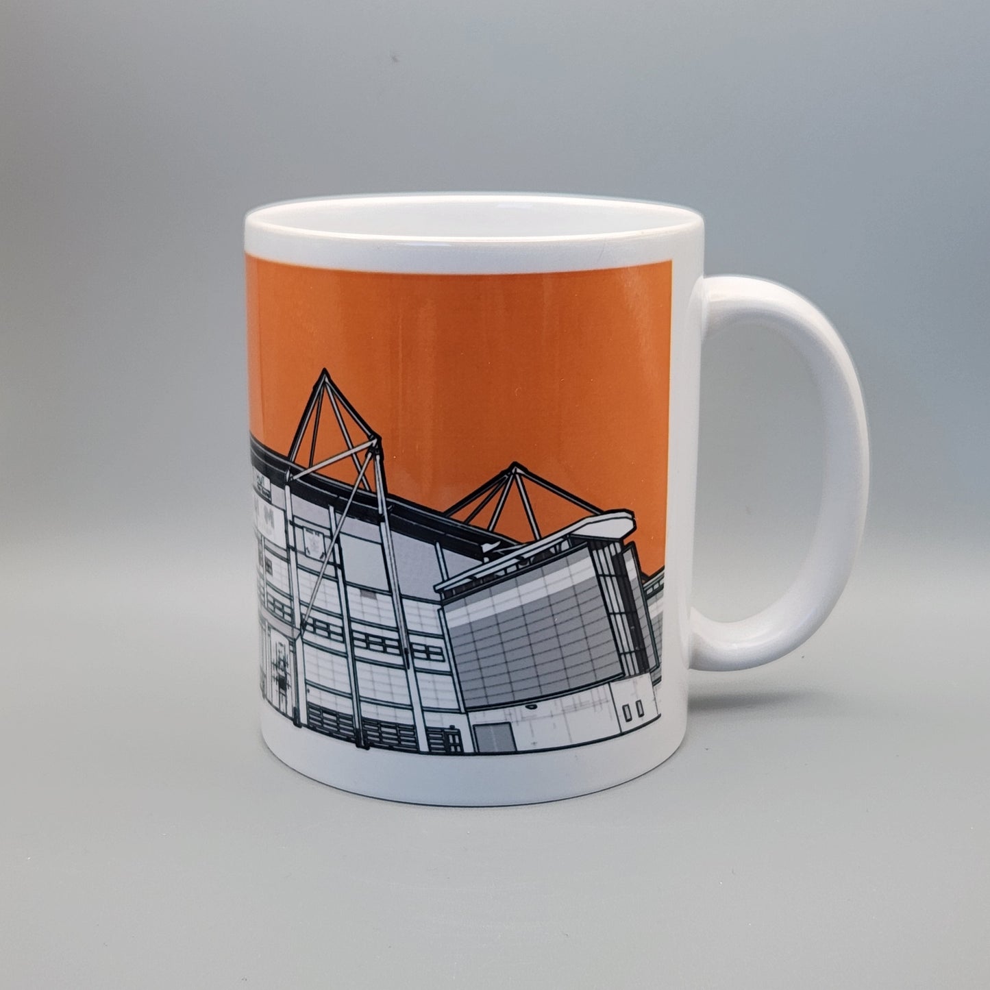 Hull City AFC MKM Stadium Illustrated Mug