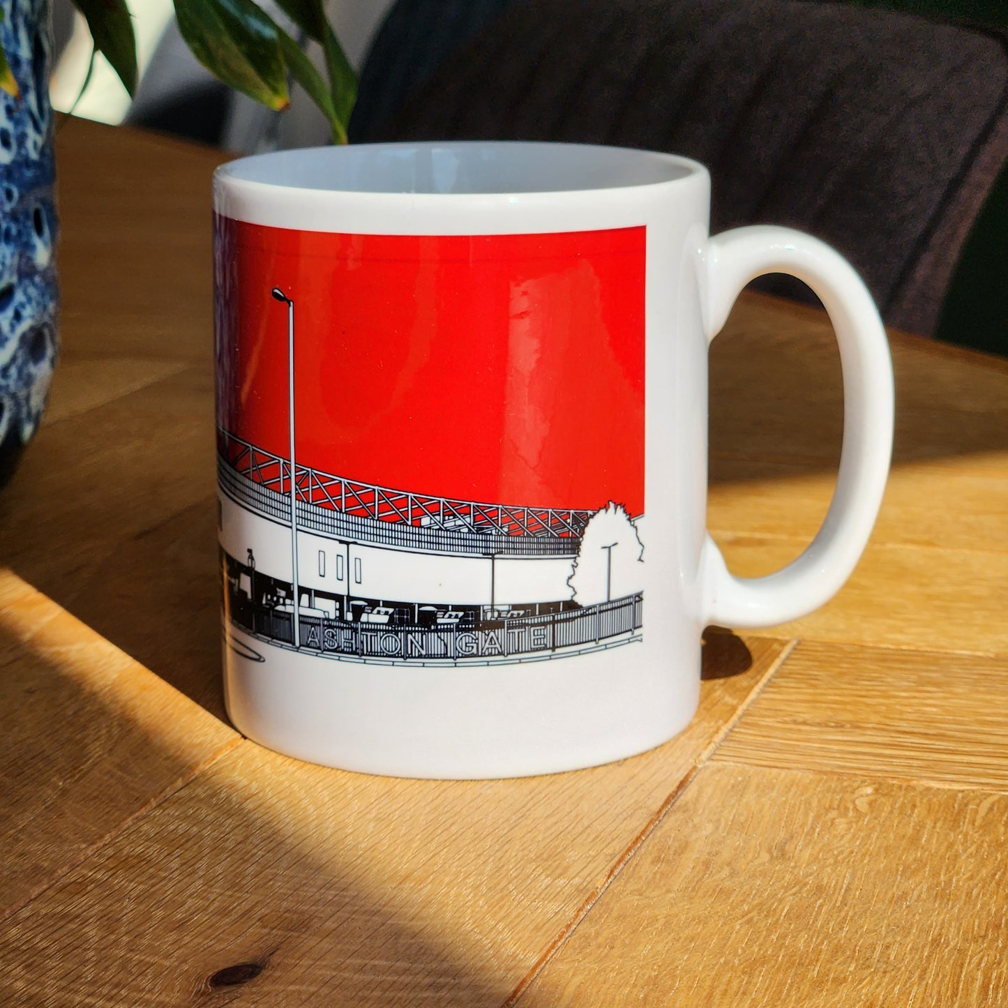 Bristol City FC Mug, Ashton Gate illustrated Mug (end of line)