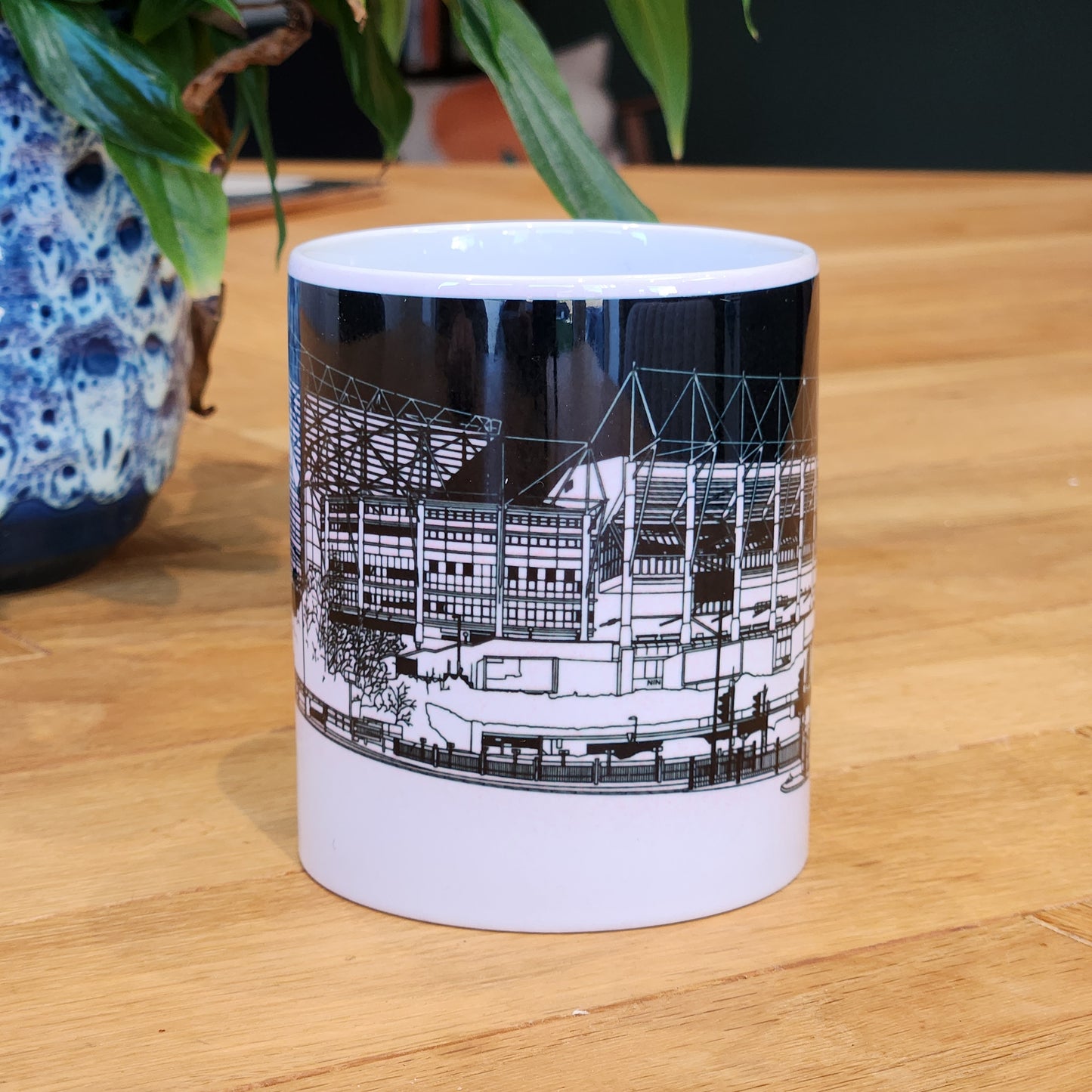 Newcastle United, St. James' Park Illustrated Mug