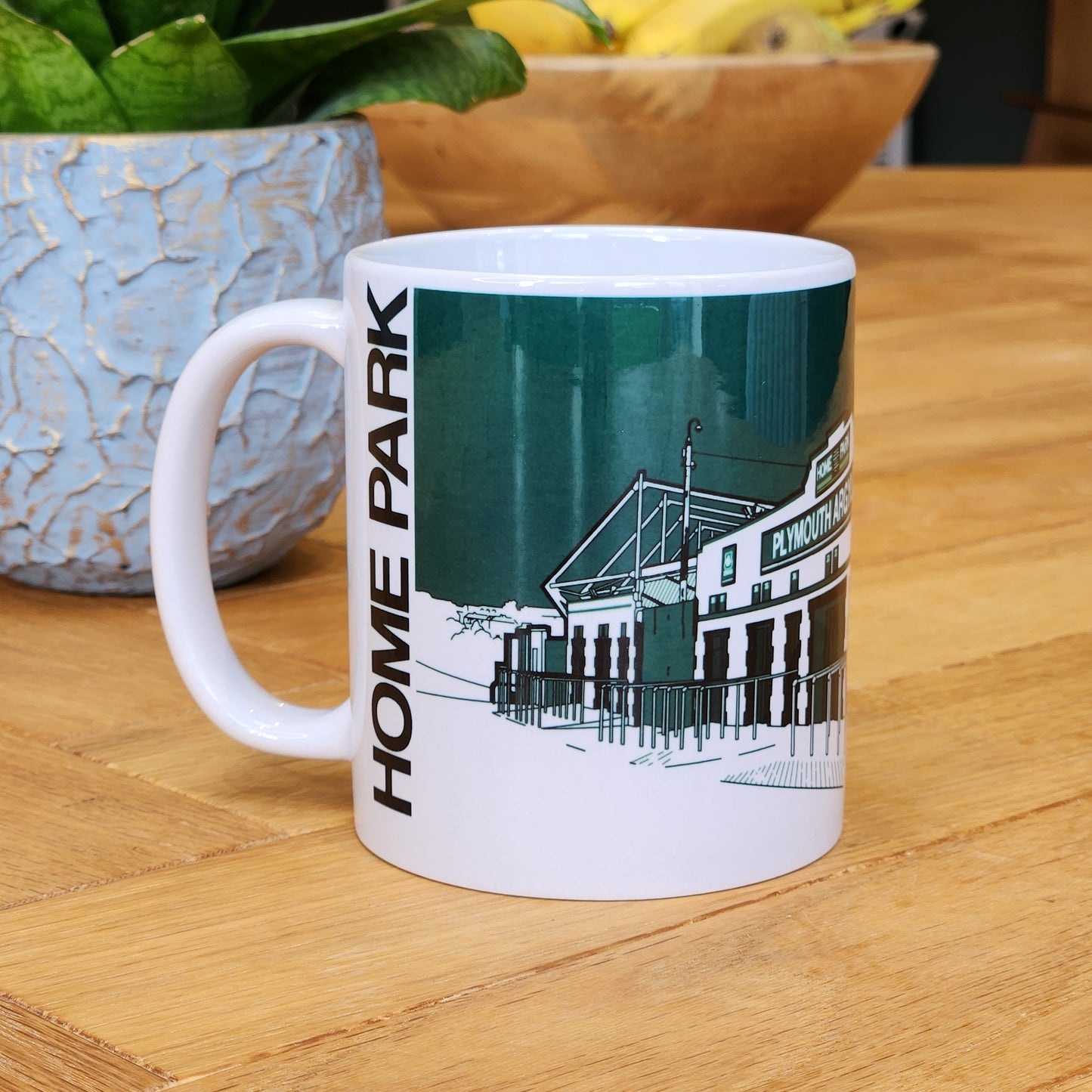 Plymouth Argyle Home Park Illustrated Mug