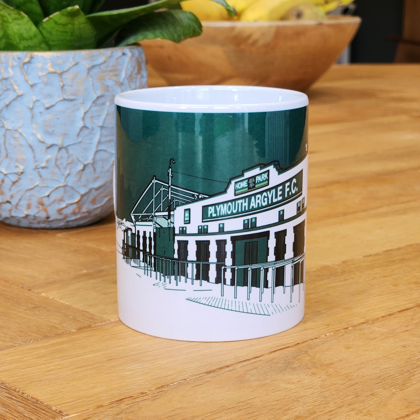 Plymouth Argyle Home Park Illustrated Mug