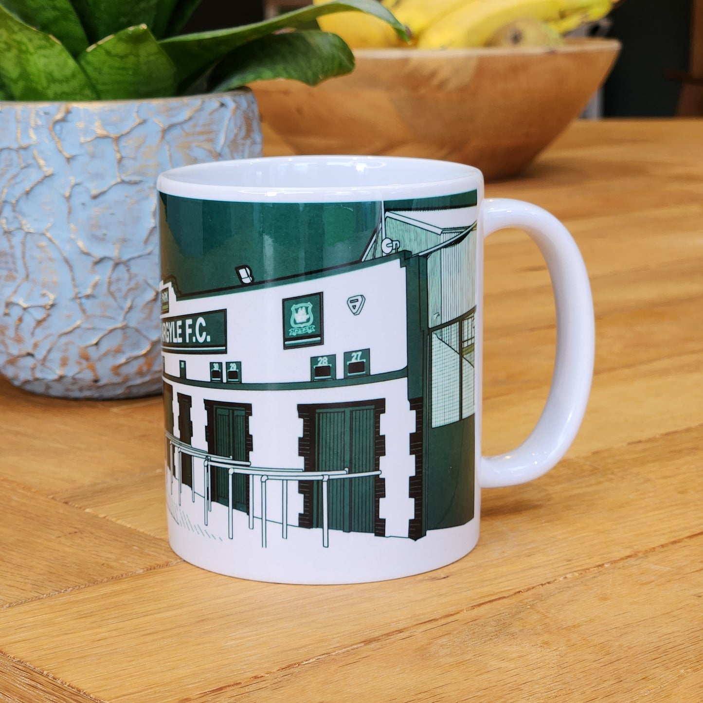 Plymouth Argyle Home Park Illustrated Mug