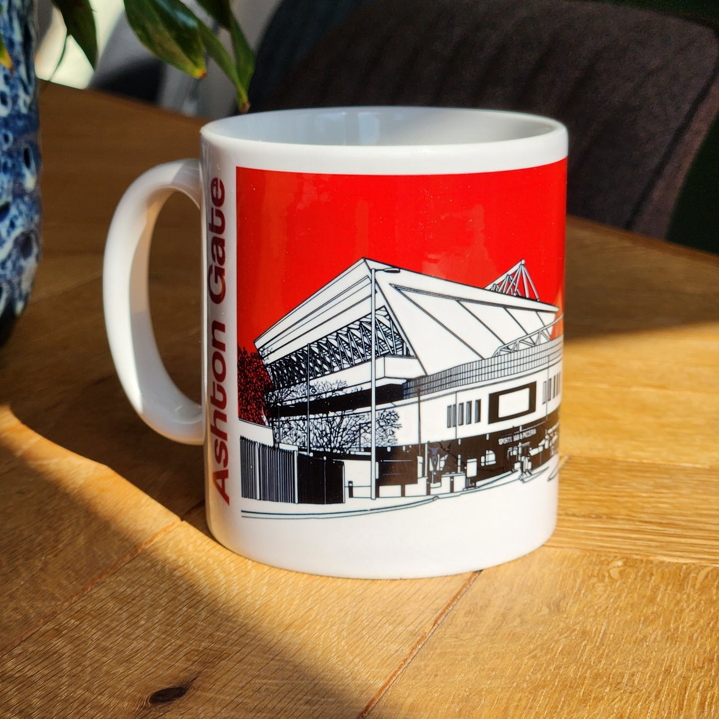 Bristol City FC Mug, Ashton Gate illustrated Mug